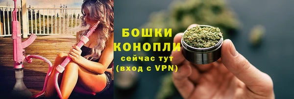 стаф Зеленокумск